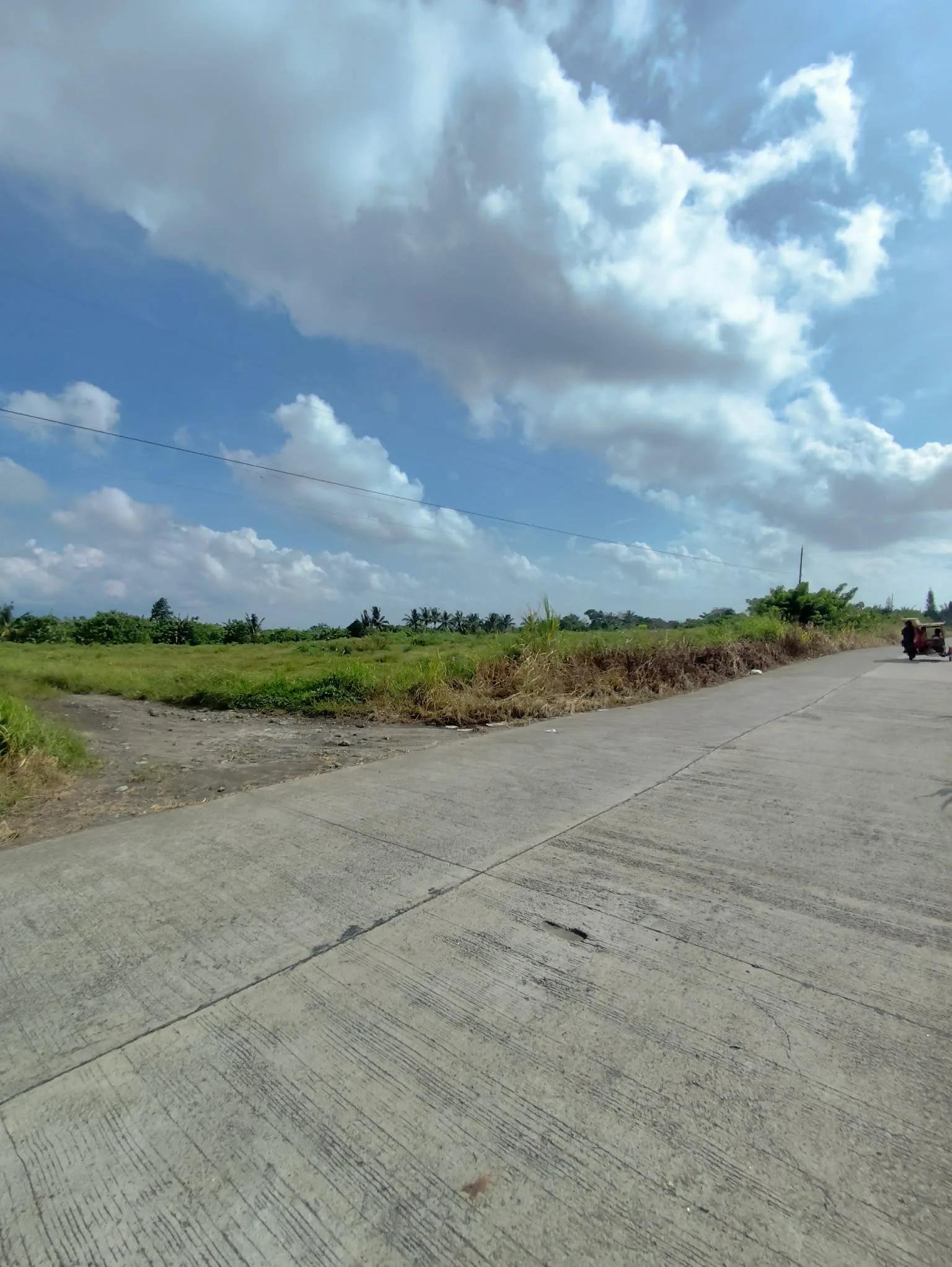 4,690 SQM Farm/Commercial Lot Along Brgy. Road in Sta Cruz, Murcia