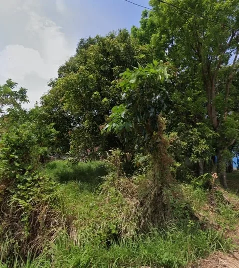 180 SQM Lot for sale in Canlaon View Subd