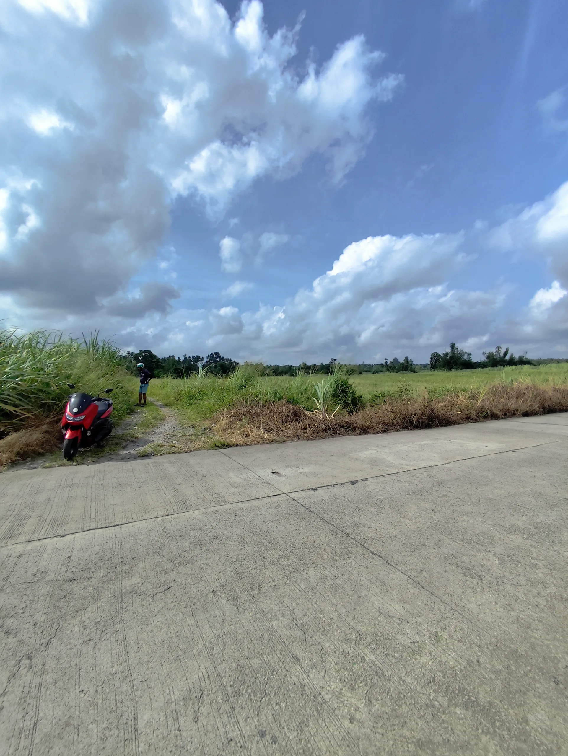 16 Hectares Lot for Sale in Sta Cruz, Murcia