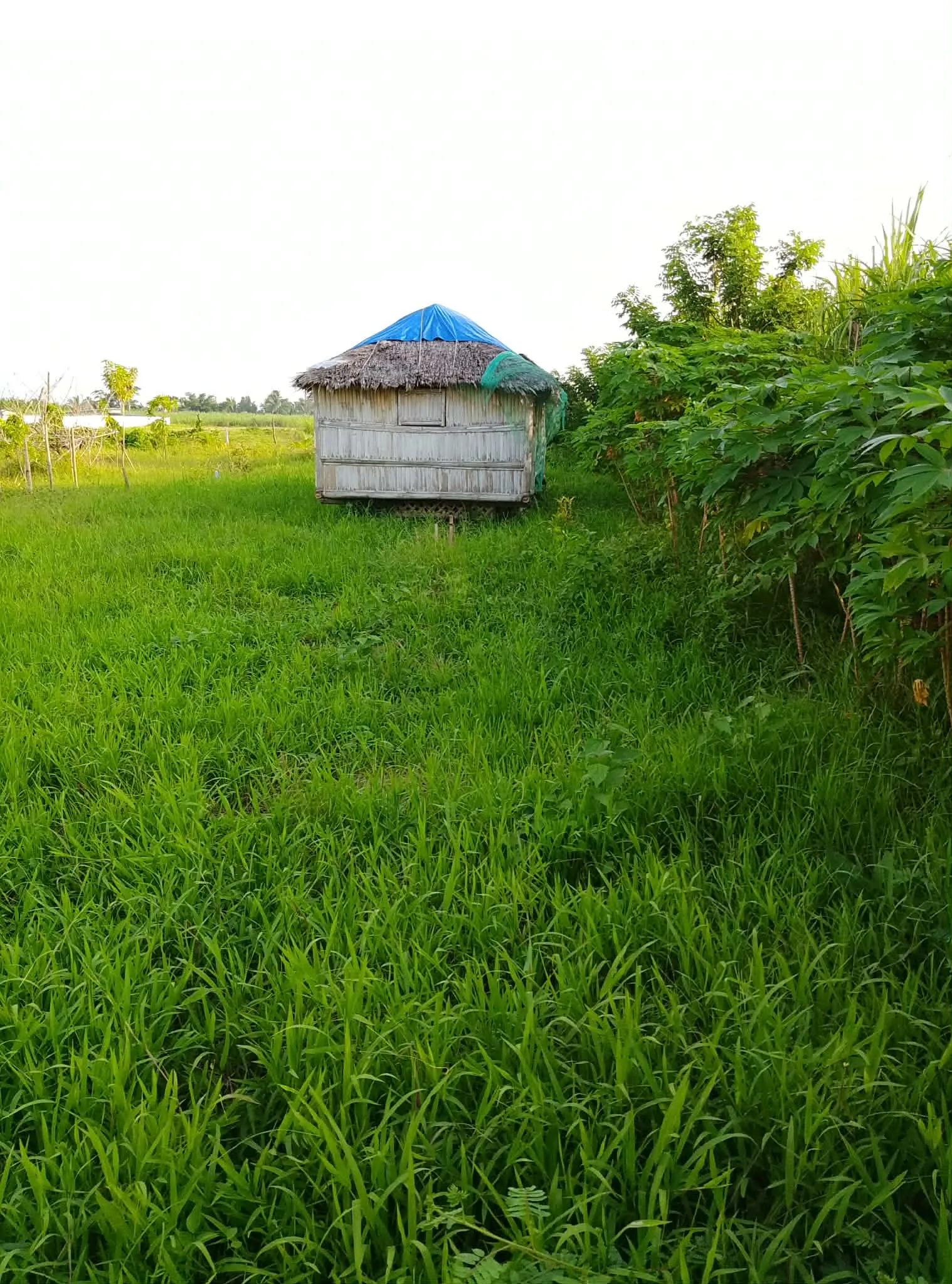 1,000 SQM Farmlot for Sale in Murcia