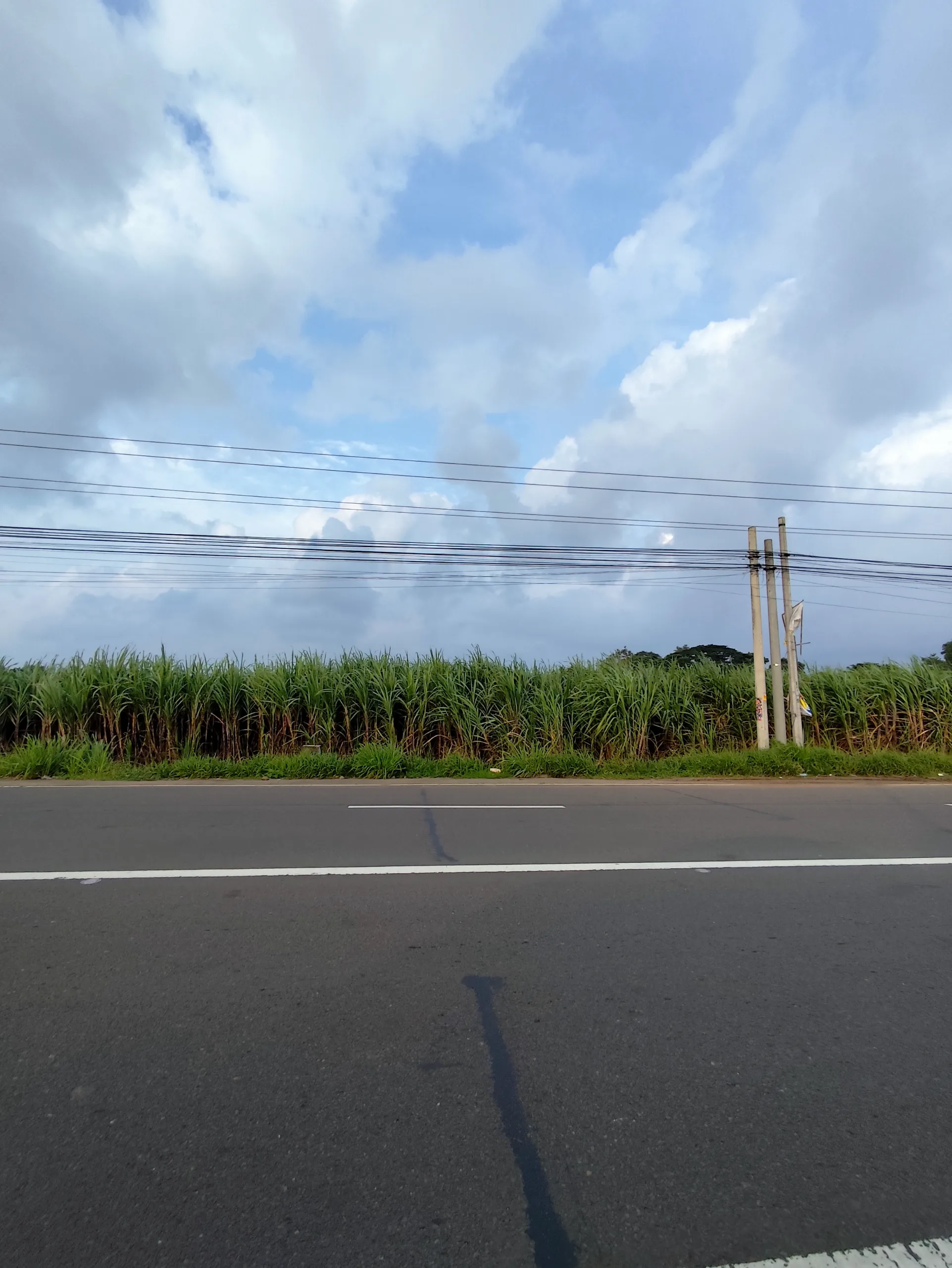 3-hectare lot Along National Road in Murcia