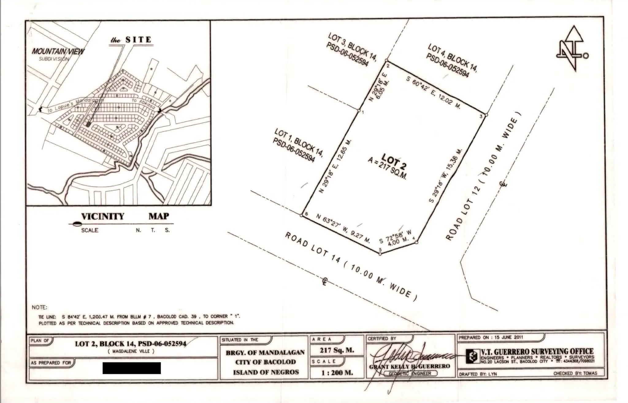 217 SQM Corner Lot for sale in Magdalene, Mandalagan
