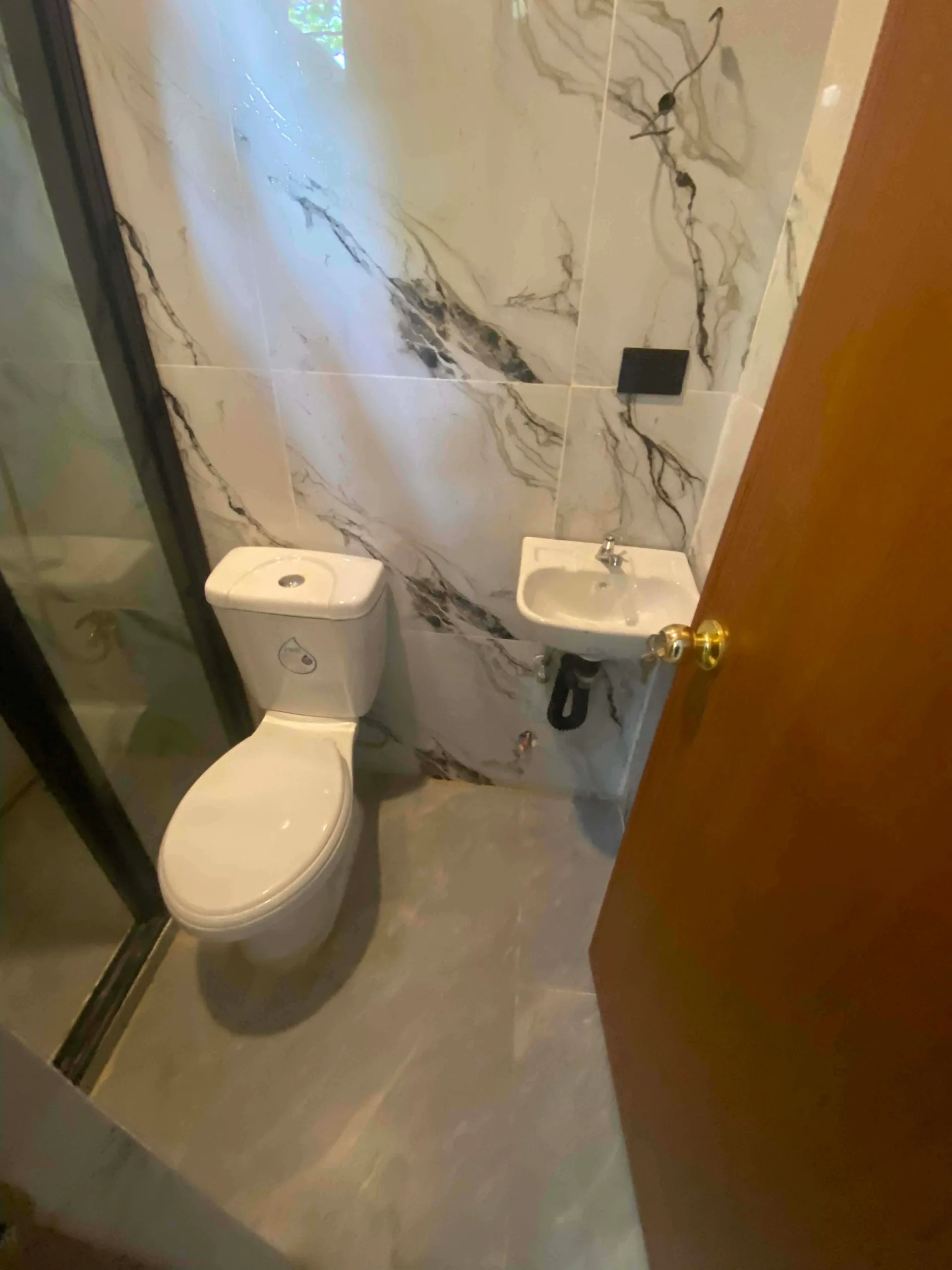 3BR House and Lot for sale in Carmela, Silay