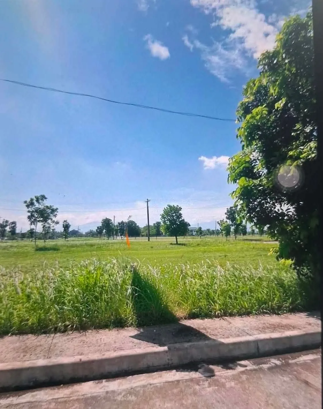 300 SQM Lot for sale in La Alegria Estate, Silay