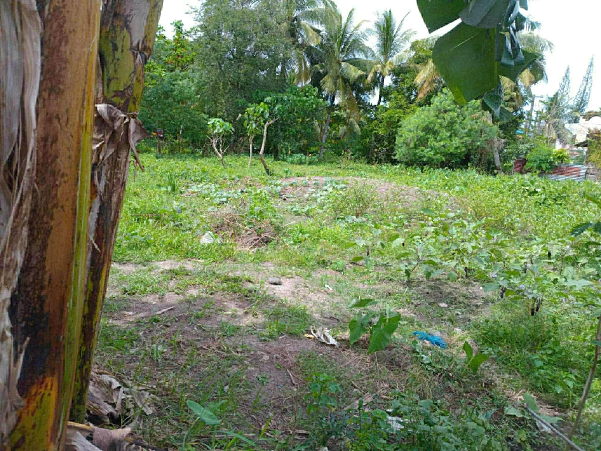540 SQM Lot in Hermilinda Homes Subd, Mansilingan