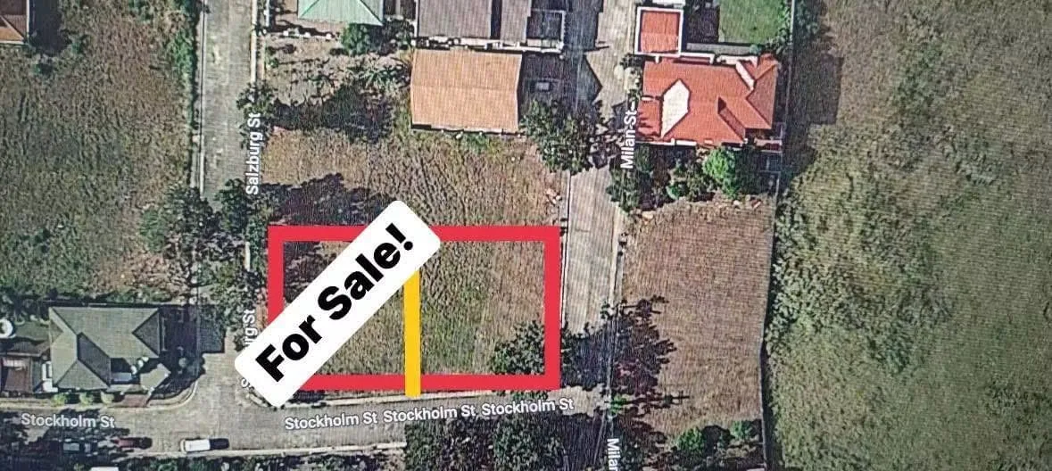 369 SQM Corner Lot in Manville Subd