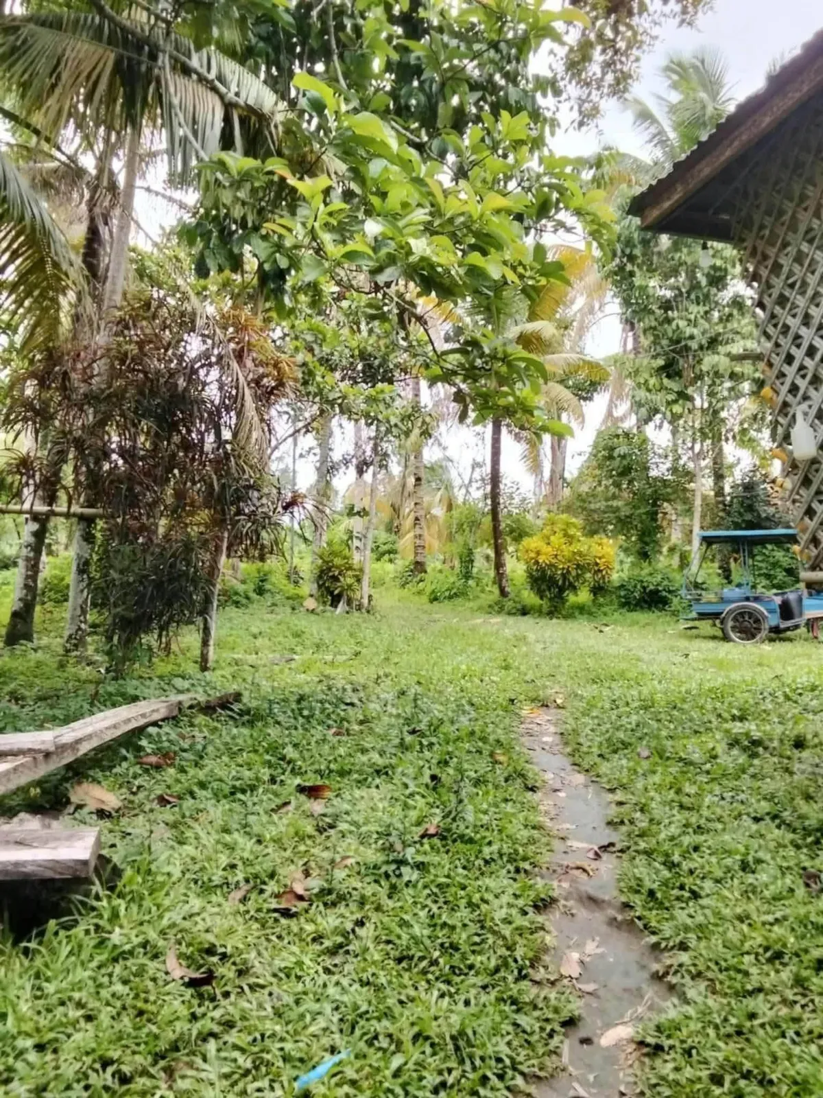 1.3 Hectare Farm Lot for Sale in Concepcion, Talisay
