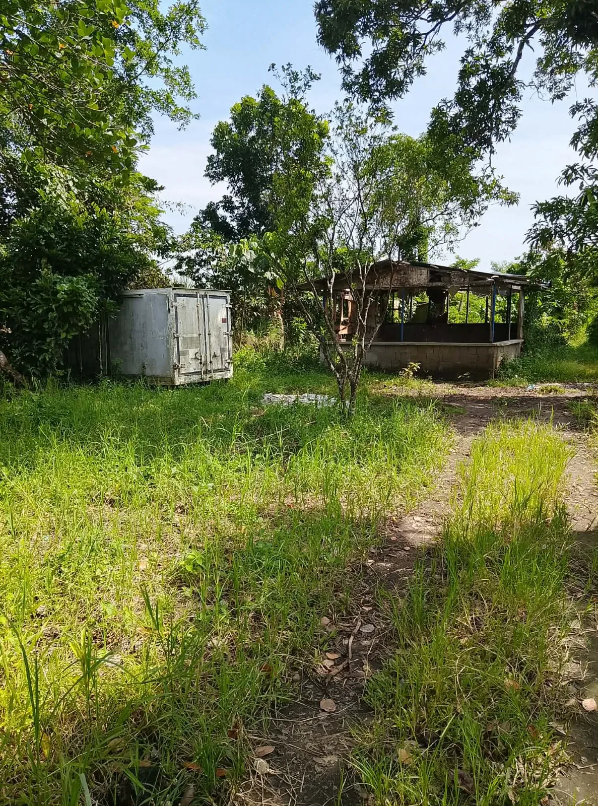 6,000 SQM Farm Lot for Sale in Blumentritt, Murcia