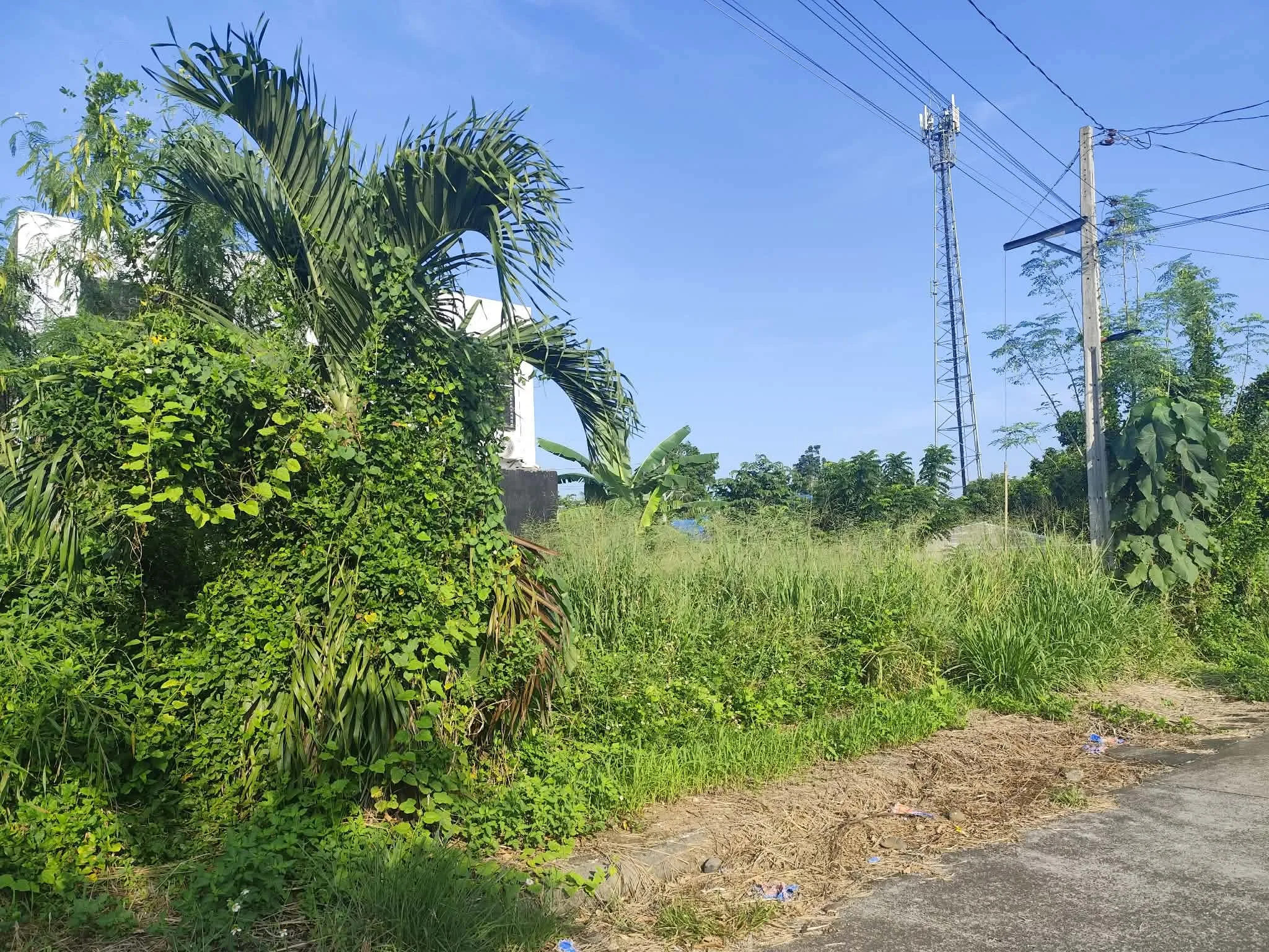 120 SQM Lot for Sale in Farmville Subd, Murcia
